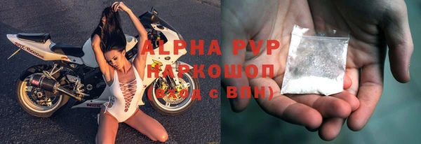 сатива Осташков