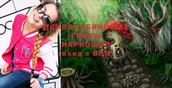 ALPHA PVP Осинники