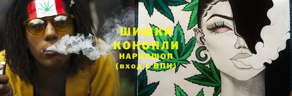 ALPHA PVP Осинники