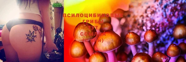 сатива Осташков