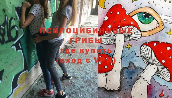ALPHA PVP Осинники