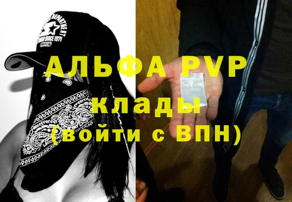 сатива Осташков