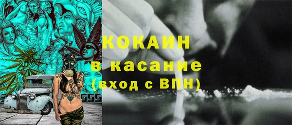 сатива Осташков