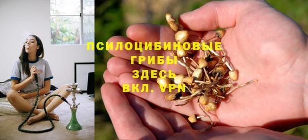 сатива Осташков