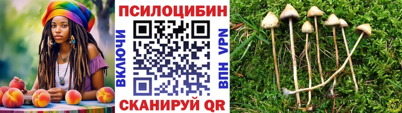 где можно купить наркотик  даркнет Telegram  кракен как войти  Псилоцибиновые грибы Cubensis  Сорск 